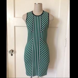 Torn by Ronny Kobo bodycon dress, L